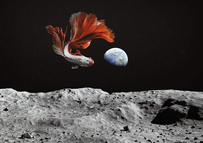 I Create Surreal Scenes In Photoshop