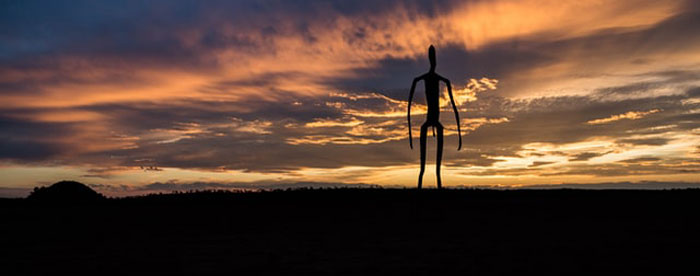 40 New ‘Today I Learned’ Facts That Prove It’s Never Too Late To Learn Something New