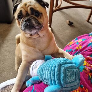 tracytaylor_1 avatar