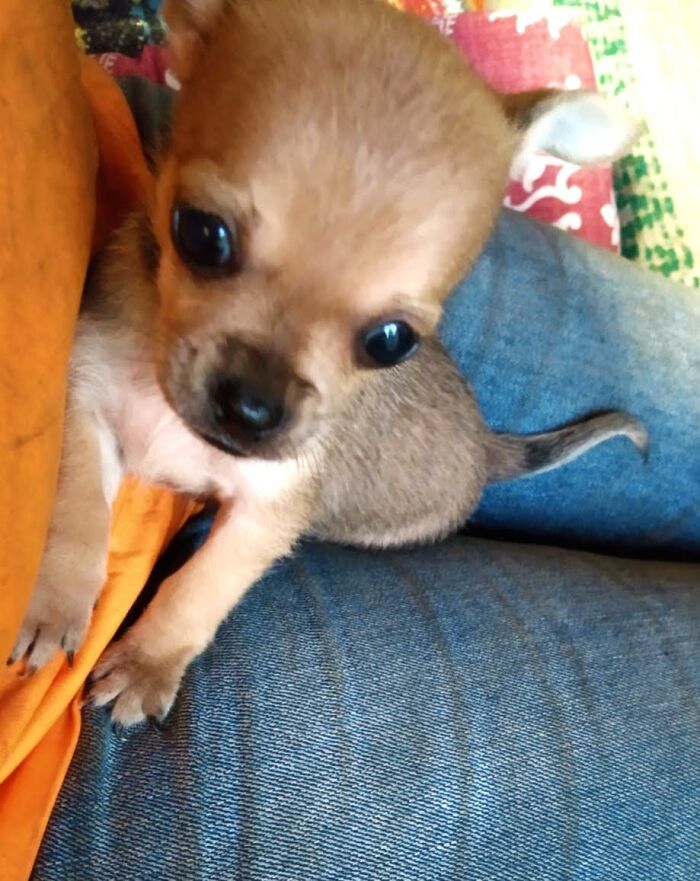 My Bri Bri.....rip Baby Girl