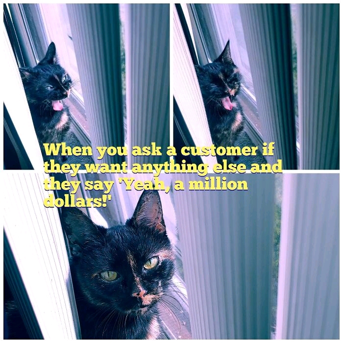 Please, Good Patrons, If You Care About The Workers In Customer Service, Stop Saying This Joke