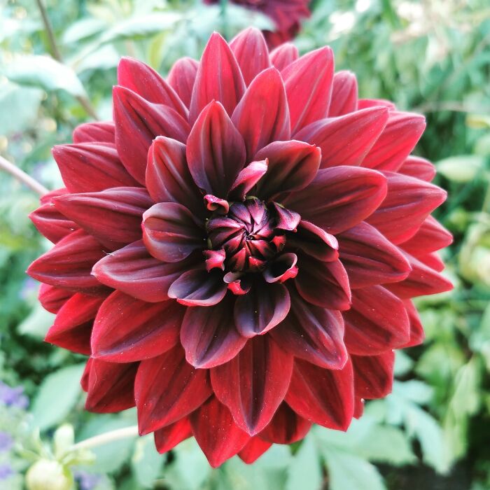 Can't Remember The Name!