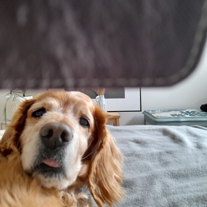 Half Of My Phone Cover And Baby Woke Up Too Early Before I Catch Him While Sleeping