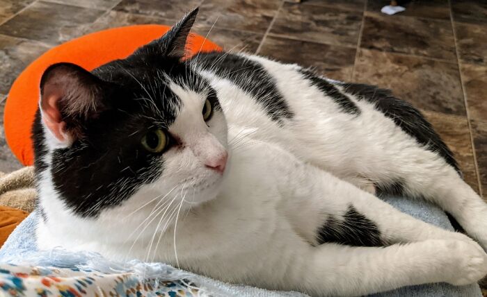 Hallelujah! Called Hallie. Very Chill.