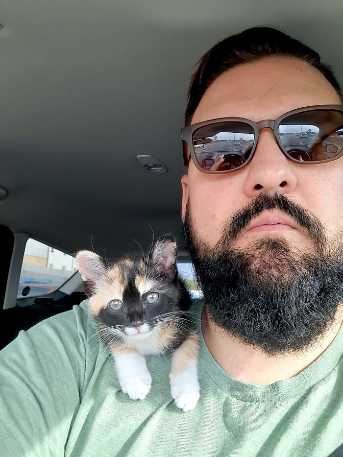 Our Rescue Kitten, 'Jelly'. We Found Her In A Parking Lot. Two Years Old Now And Do Loved