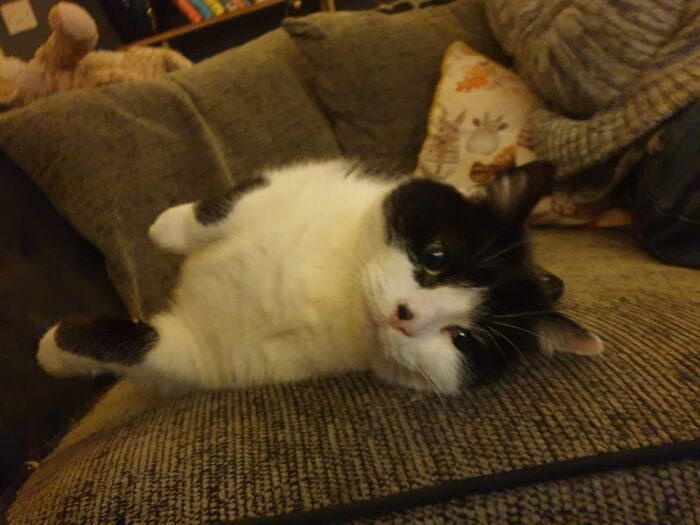 Stan Stan The Mow Man Rip Forever Bud. Xxxx