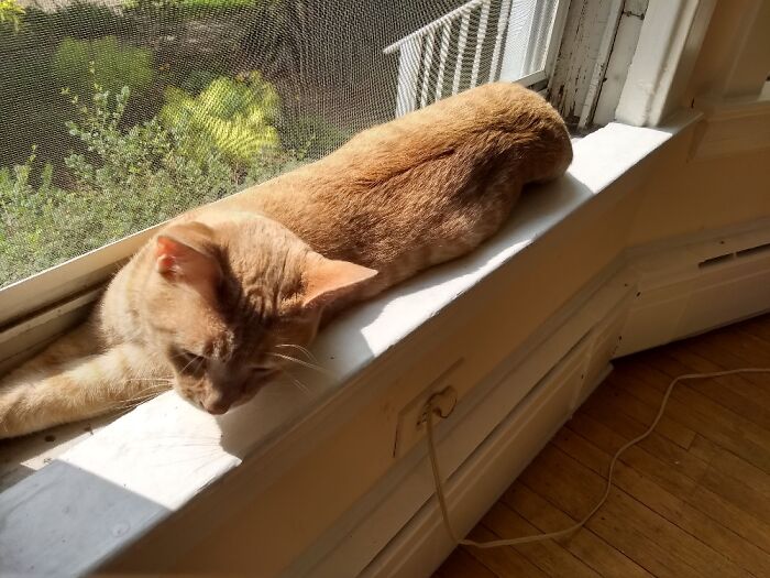 Jammie's Favorite Sunbathing Spot.