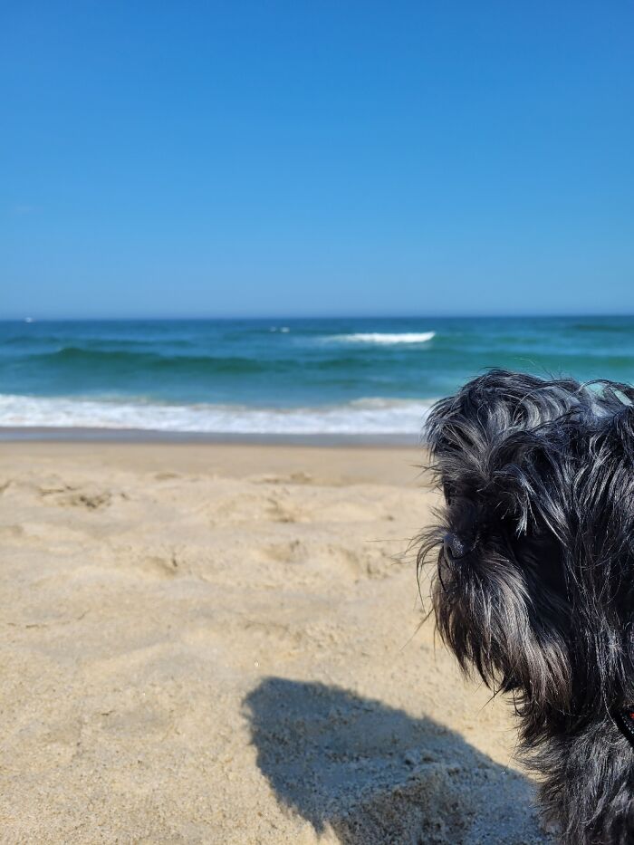 Spring Lake, New Jersey