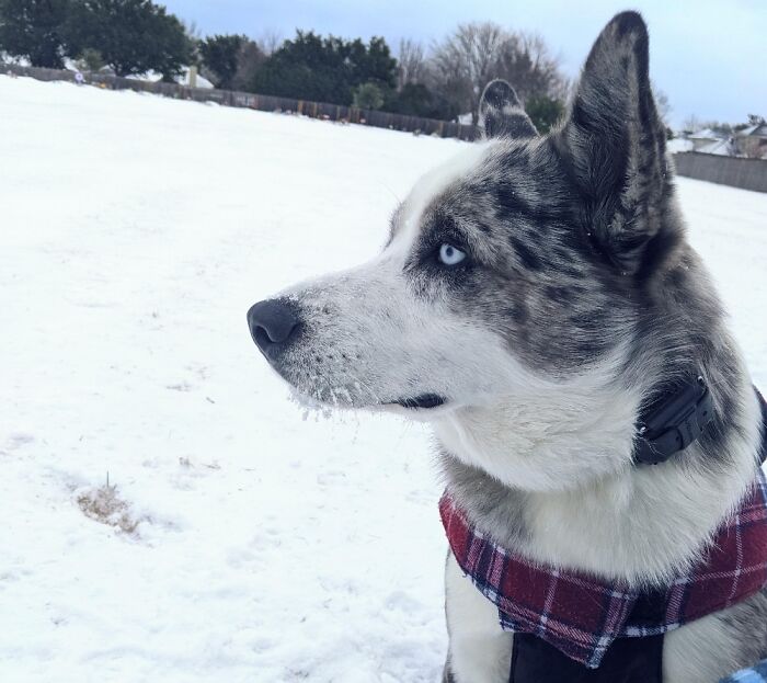 His First Snow Experience.
