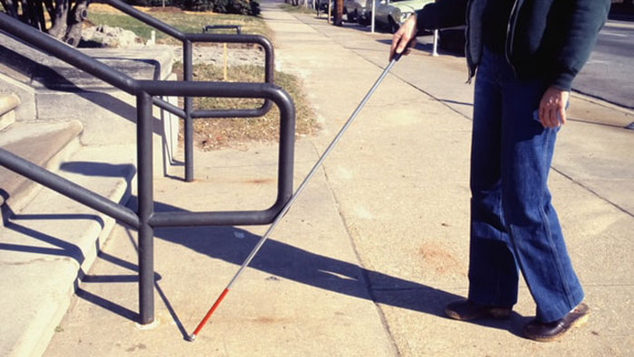 40 New ‘Today I Learned’ Facts That Prove It’s Never Too Late To Learn Something New