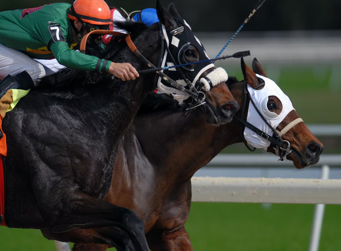 Someone Asked “What Is Something You Changed Your Stance On After Learning More About It?”, Here Are 30 Of The Most Fascinating Answers