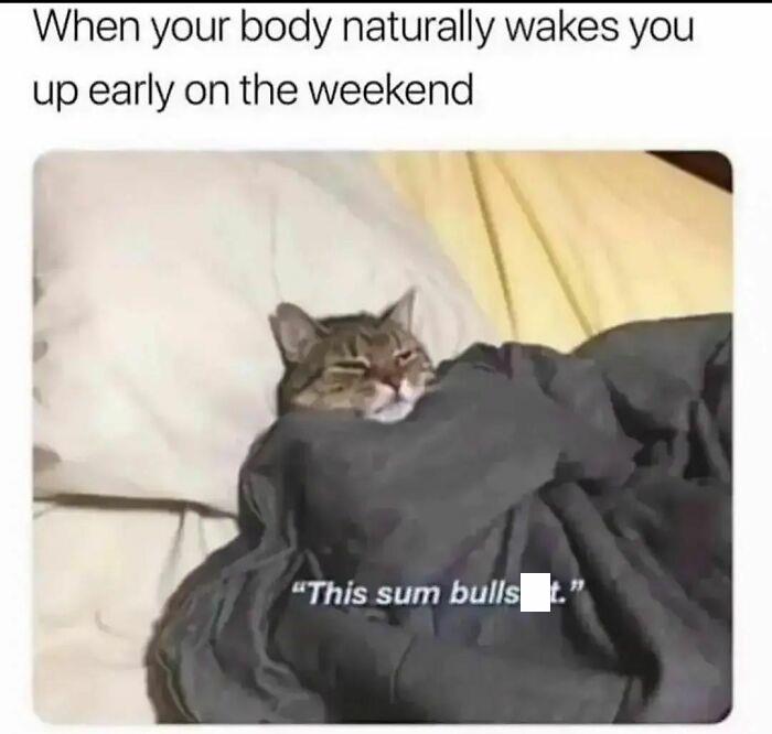 Follow Me @employeeup If You Hate Working 💼
.
.
.
.
.
.
.
.
.
.
#workmemes #workmeme #officememes #officememe #theofficememes #humanresources #theofficememesfunny #jobmemes #9to5life #9to5 #9to5grind #workfromhome #workfromhomelife #workmemes #workmeme #worksucks #workmemes #workmeme #workhumor #workproblems #workprobs #officehumor #officework #officelife #jobmemes #leaveworkearly #ihatemyjob #workaholics #workingmeme #jobmeme