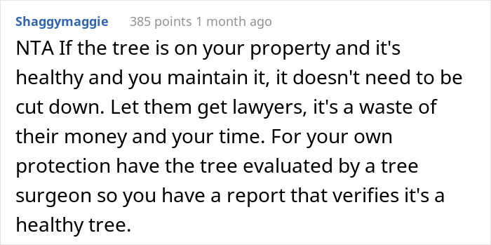 &ldquo;AITA For Not Removing A Tree From My Property As My New Neighbor Demands?&rdquo;