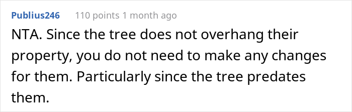 &ldquo;AITA For Not Removing A Tree From My Property As My New Neighbor Demands?&rdquo;