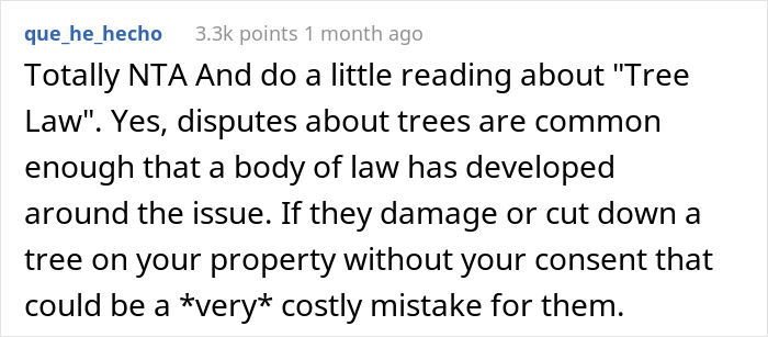 &ldquo;AITA For Not Removing A Tree From My Property As My New Neighbor Demands?&rdquo;