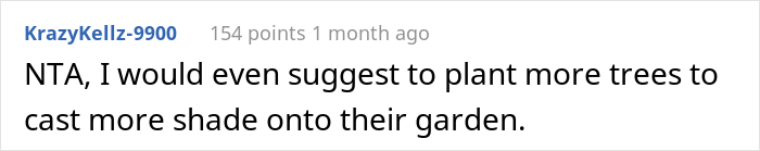 &ldquo;AITA For Not Removing A Tree From My Property As My New Neighbor Demands?&rdquo;