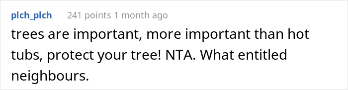 &ldquo;AITA For Not Removing A Tree From My Property As My New Neighbor Demands?&rdquo;