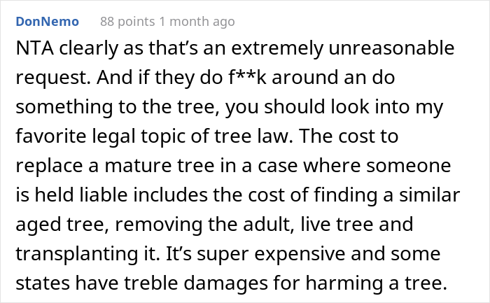 &ldquo;AITA For Not Removing A Tree From My Property As My New Neighbor Demands?&rdquo;