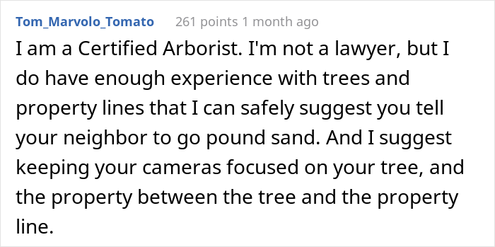 &ldquo;AITA For Not Removing A Tree From My Property As My New Neighbor Demands?&rdquo;