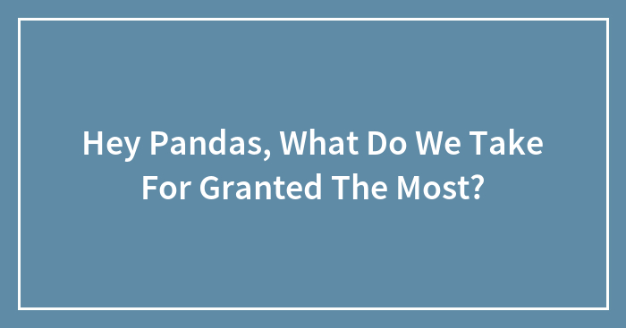 Hey Pandas, What Do We Take For Granted The Most? (Closed)