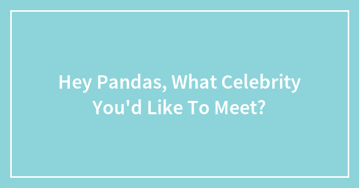 Hey Pandas, What Celebrity You’d Like To Meet?