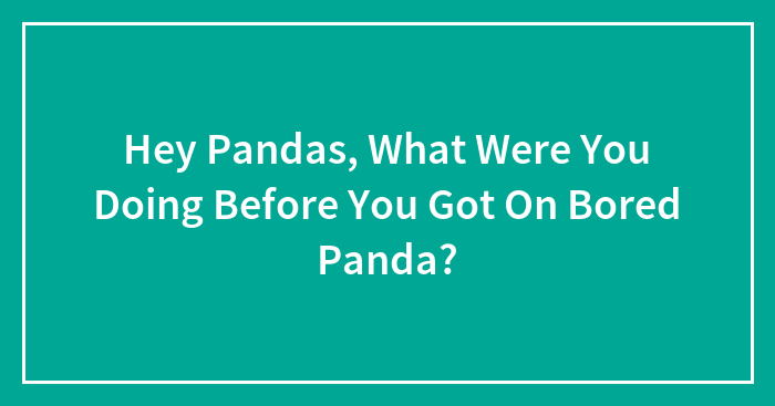 Hey Pandas, What Were You Doing Before You Got On Bored Panda? (Closed)