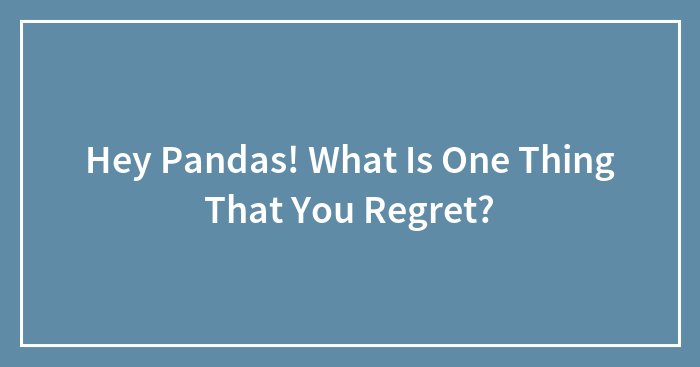 Hey Pandas! What Is One Thing That You Regret? (Closed)