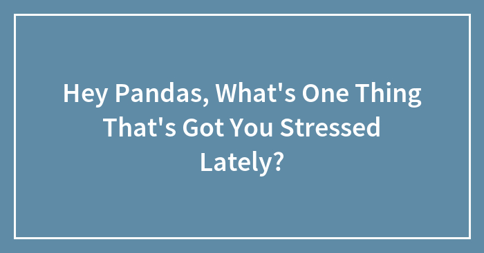 Hey Pandas, What’s One Thing That’s Got You Stressed Lately?