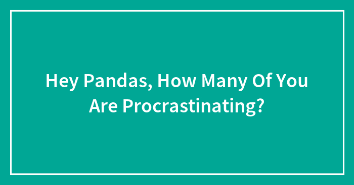 Hey Pandas, How Many Of You Are Procrastinating? (Closed)