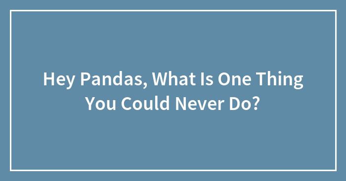 Hey Pandas, What Is One Thing You Could Never Do?