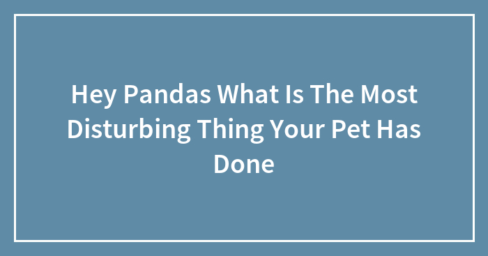Hey Pandas What Is The Most Disturbing Thing Your Pet Has Done (Closed)