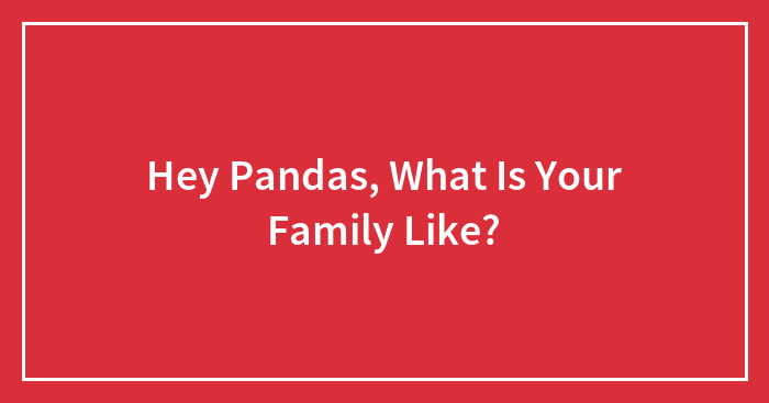 Hey Pandas, What Is Your Family Like? (Closed)