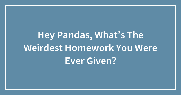 Hey Pandas, What’s The Weirdest Homework You Were Ever Given?