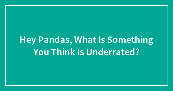 Hey Pandas, What Is Something You Think Is Underrated?