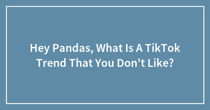 Hey Pandas, What Is A TikTok Trend That You Don’t Like?