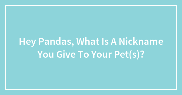 Hey Pandas, What Is A Nickname You Give To Your Pet(s)?