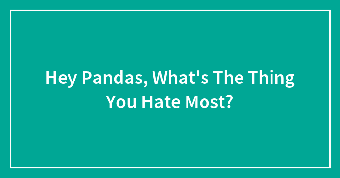 Hey Pandas, What’s The Thing You Hate Most? (Closed)