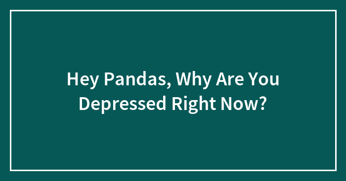 Hey Pandas, Why Are You Depressed Right Now?