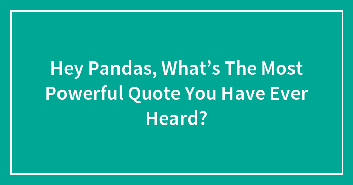 Hey Pandas, What’s The Most Powerful Quote You Have Ever Heard? (Closed)
