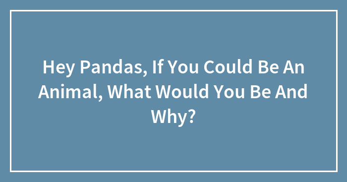 Hey Pandas, If You Could Be An Animal, What Would You Be And Why?