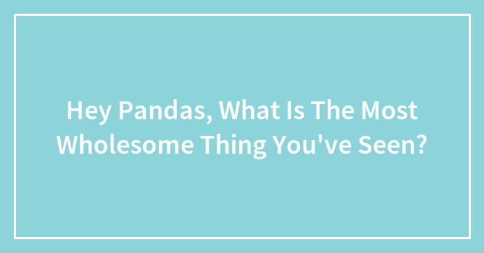 Hey Pandas, What Is The Most Wholesome Thing You’ve Seen? (Closed)