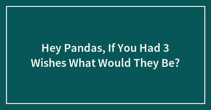 Hey Pandas, If You Had 3 Wishes What Would They Be? (Closed)