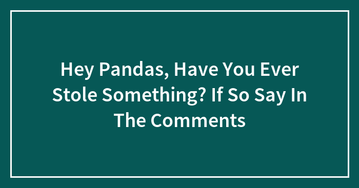 Hey Pandas, Have You Ever Stole Something? If So Say In The Comments (Closed)