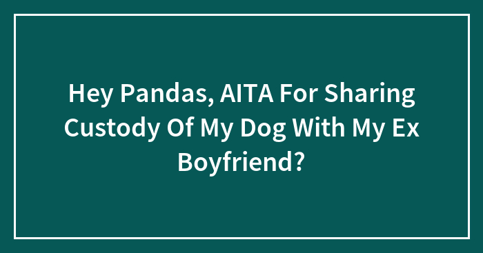 Hey Pandas, AITA For Sharing Custody Of My Dog With My Ex Boyfriend? (Closed)