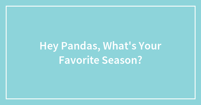 Hey Pandas, What’s Your Favorite Season? (Closed)