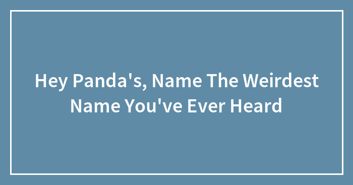 Hey Pandas, Name The Weirdest Name You’ve Ever Heard (Closed)