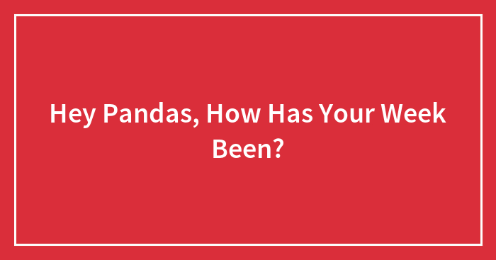 Hey Pandas, How Has Your Week Been? (Closed)