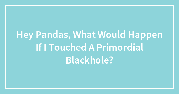 Hey Pandas, What Would Happen If I Touched A Primordial Blackhole? (Closed)