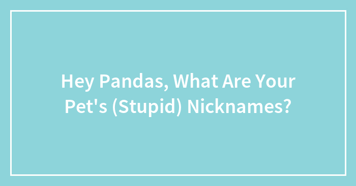 Hey Pandas, What Are Your Pet’s (Stupid) Nicknames? (Closed)