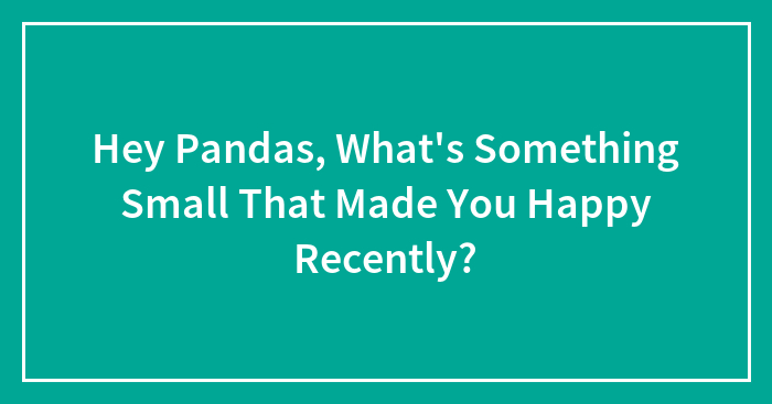 Hey Pandas, What’s Something Small That Made You Happy Recently? (Closed)